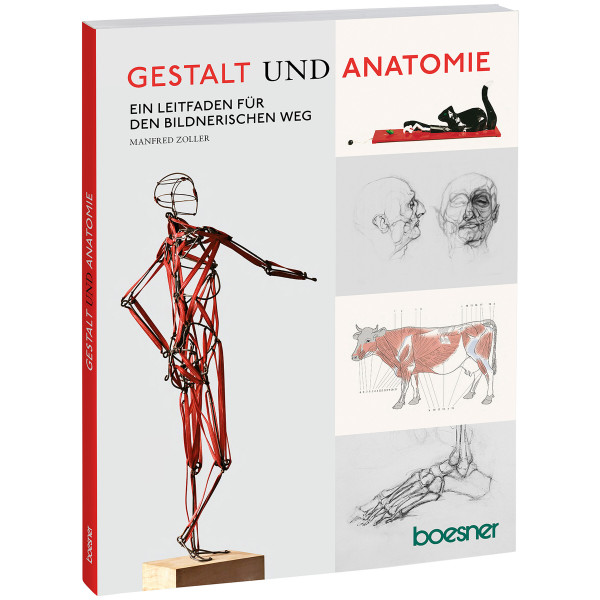 boesner GmbH holding + innovations Gestalt und Anatomie